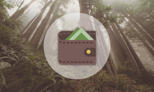 A cartoon wallet centered in a forest background.