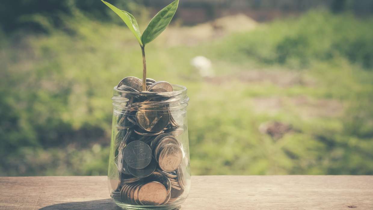 Mason jar full of quarters with plant growing.