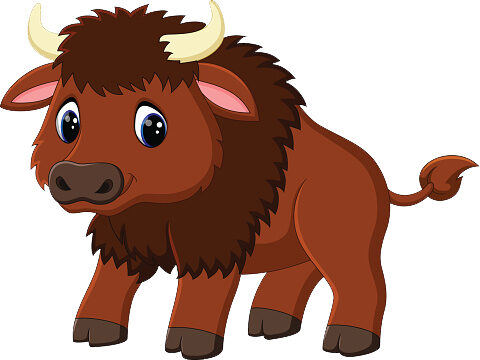 Cartoon buffalo