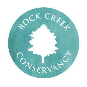 RCC Logo