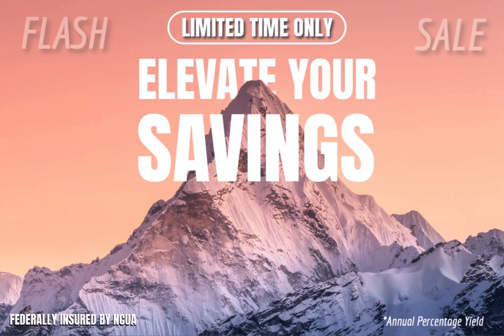elevate your savings | 5.38% APY 