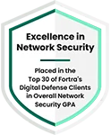 Excellence in Network Security badge